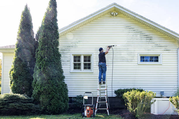 Reliable Elgin, TX Pressure Washing Services Solutions