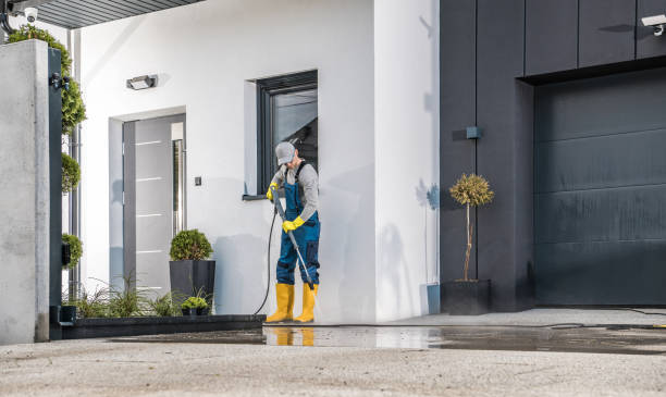 Best Solar Panel Cleaning  in Elgin, TX